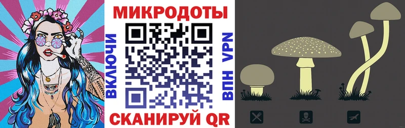Галлюциногенные грибы ЛСД  купить закладку  Карачев 